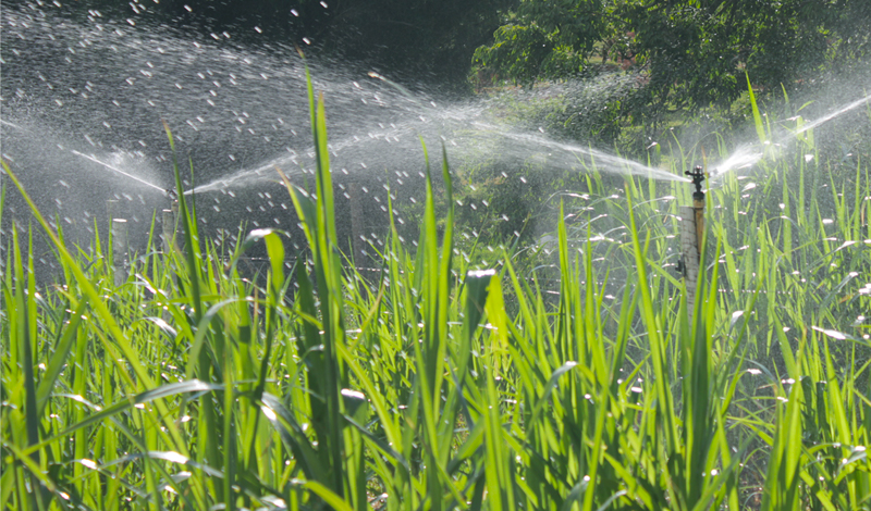 Irrigação por aspersão conheça mais sobre o método convencional